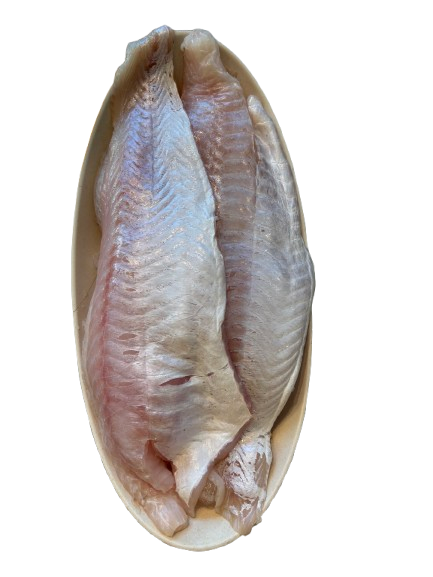 Brotola Fillet - 1 Kg (Fresh)