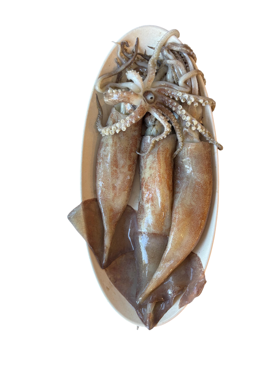 Calamares Enteros - 1 kg  (Fresco)