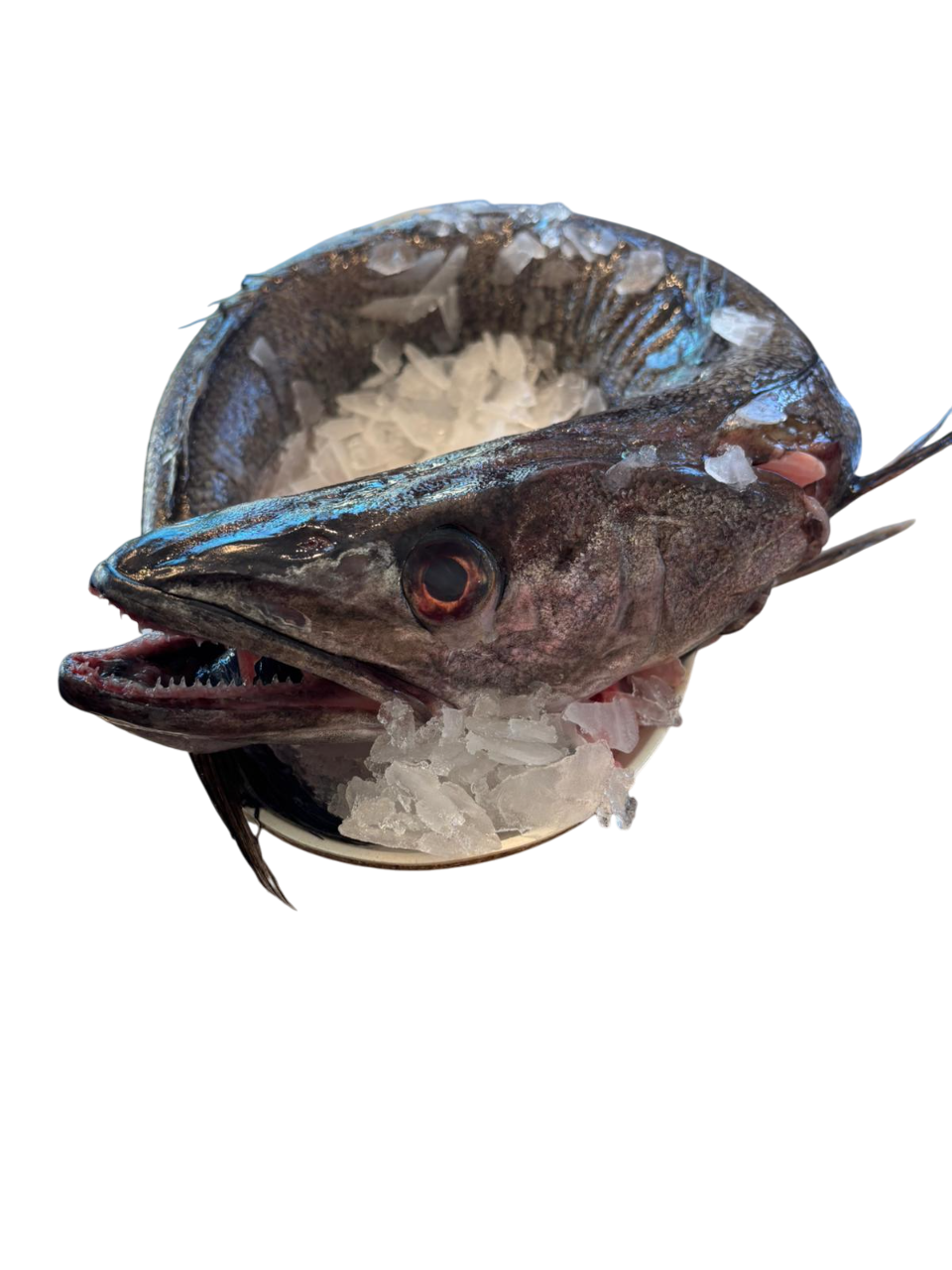 Entero Limpio - 1 kg (Fresco)