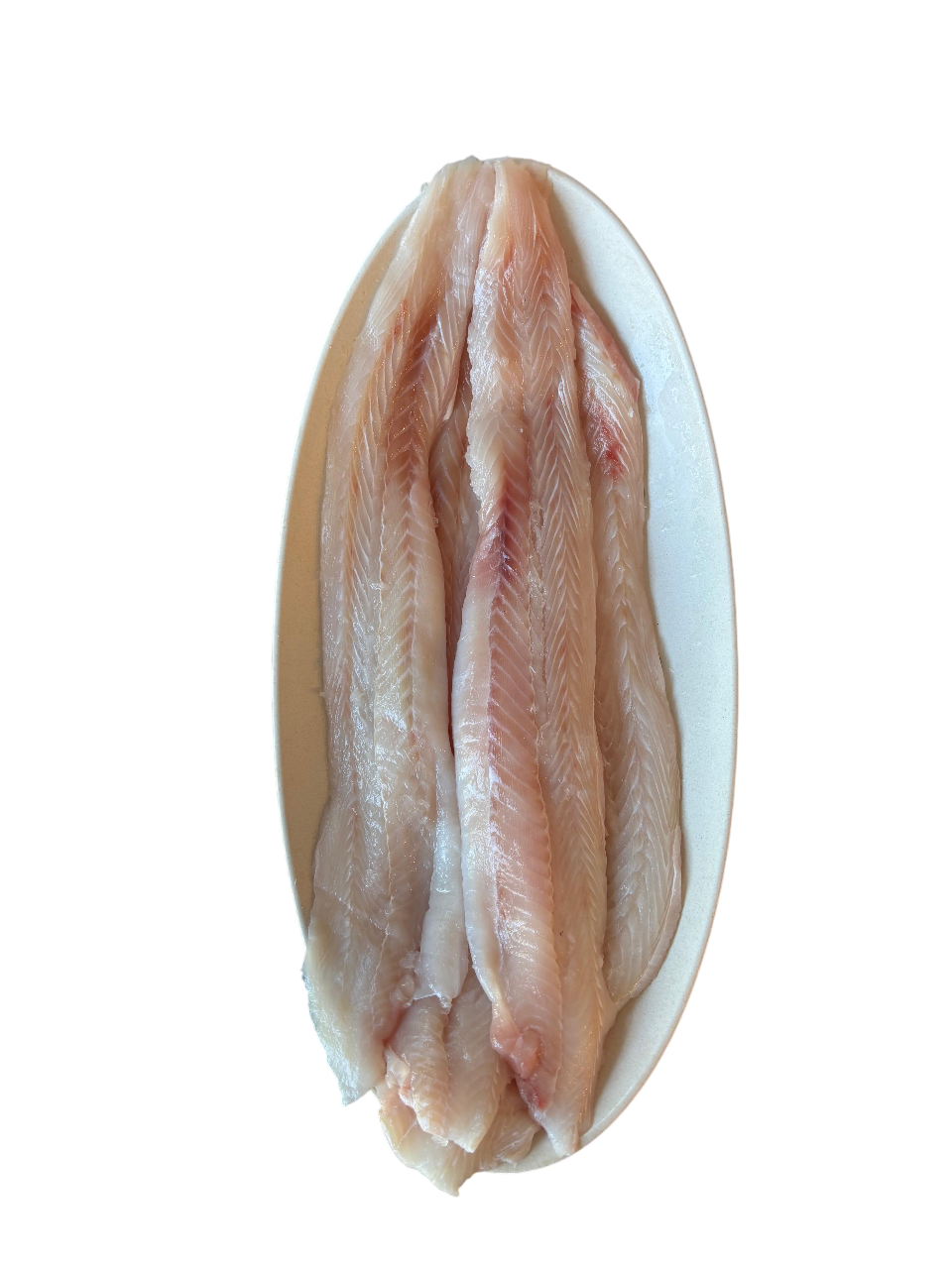 Filete Cazón - 1 kg (Fresco)