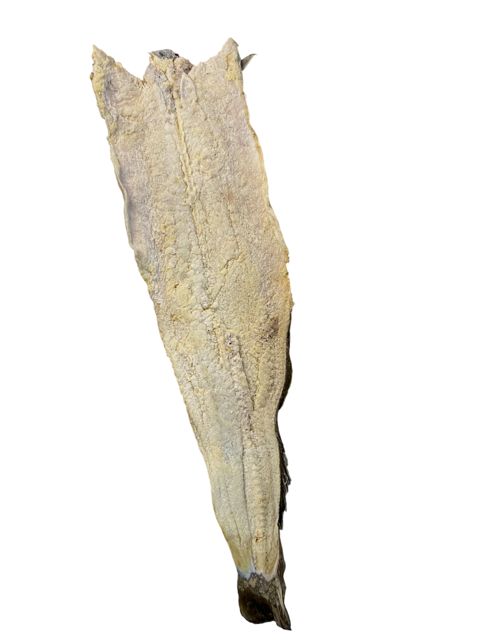 Bacalao Importado Lonja - 1 kg (Fresco)