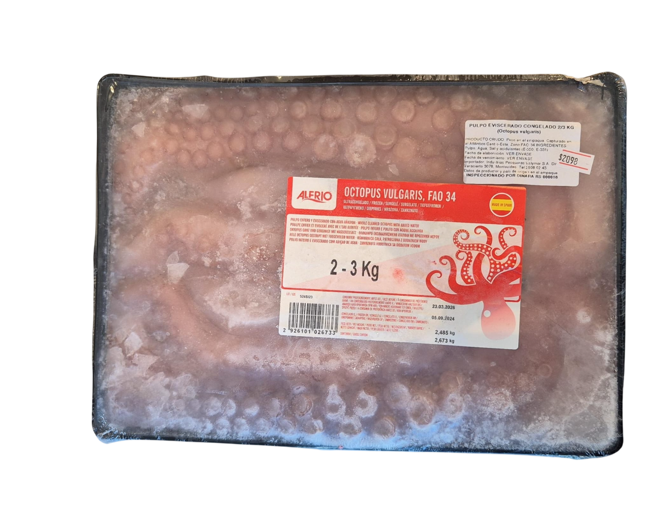 Spanish Octopus (Frozen)