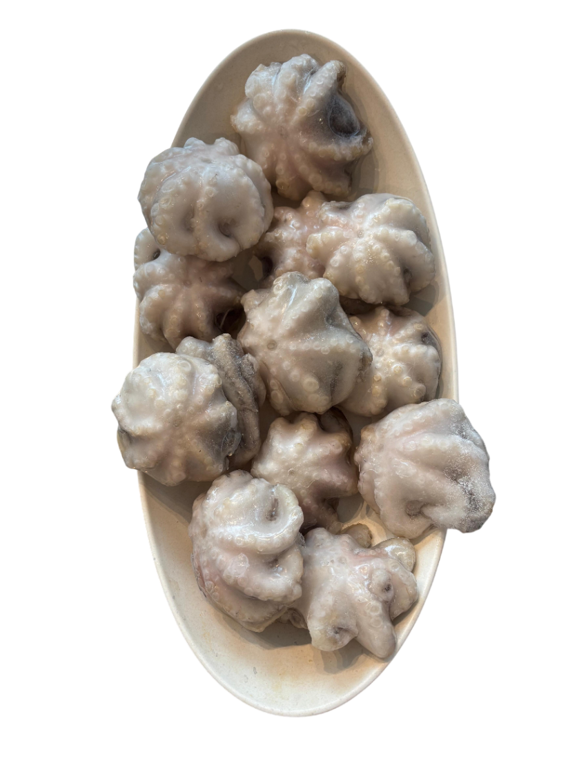 Baby octopuses - 1 Kg (Frozen)