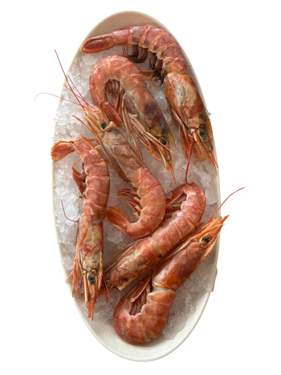 Whole Sea Prawn L1 - 2kg (Frozen)